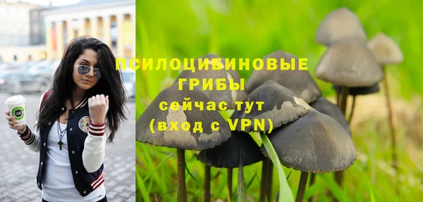дживик Гусев
