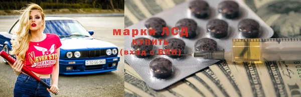 гидра Гусиноозёрск