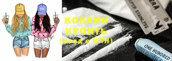 гидра Гусиноозёрск