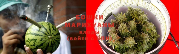 дживик Гусев