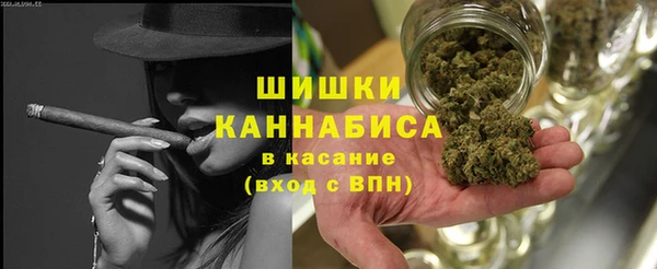дживик Гусев