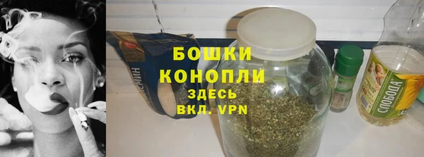 гидра Гусиноозёрск