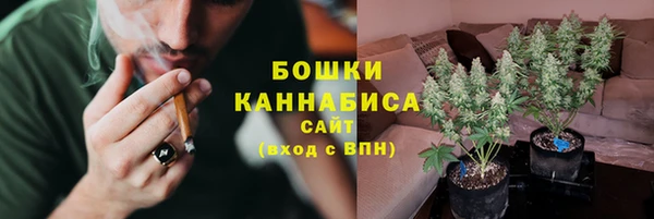 гидра Гусиноозёрск