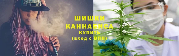 гидра Гусиноозёрск