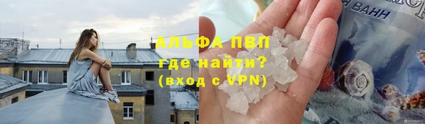 винт Гусь-Хрустальный