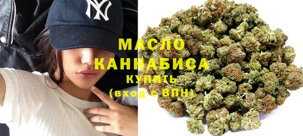 гидра Гусиноозёрск