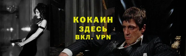 дживик Гусев