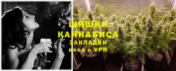 винт Гусь-Хрустальный