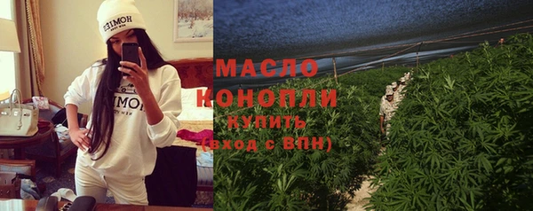 гидра Гусиноозёрск
