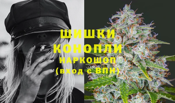 винт Гусь-Хрустальный