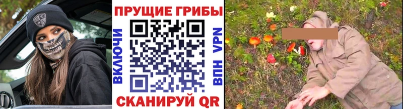 Псилоцибиновые грибы Cubensis  Купить закладки  Собинка 